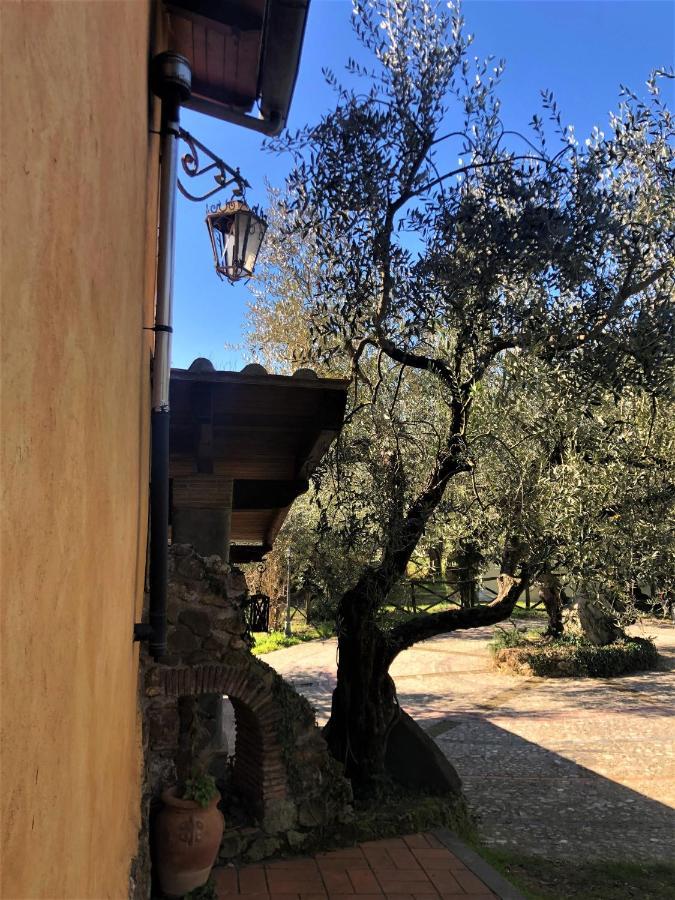 カステル・マダーマ Casale L'Antica Molaヴィラ エクステリア 写真